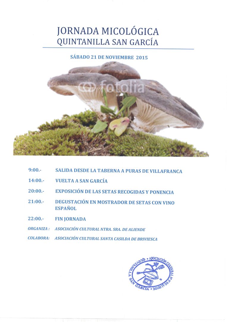 Jornada micológica 2015